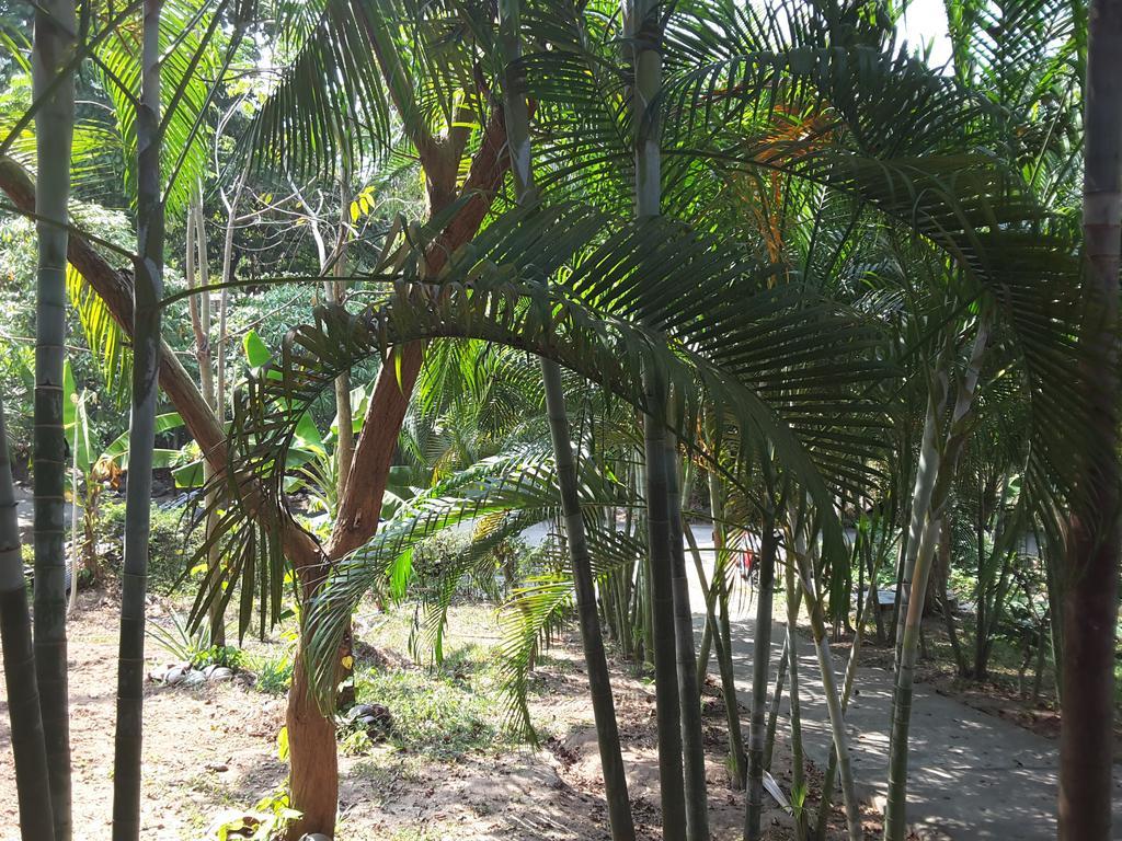 Wilai Villa Lamai Maret Экстерьер фото